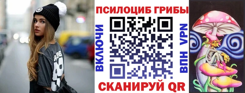 где можно купить   Таганрог  Галлюциногенные грибы GOLDEN TEACHER 